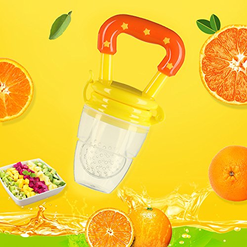 Baby Fruit Feeder Pacifier